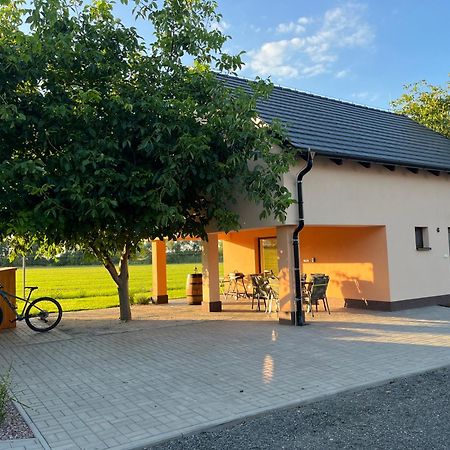 Vila Rekreacni Dum U Jezer, Milovice 6 Exteriér fotografie