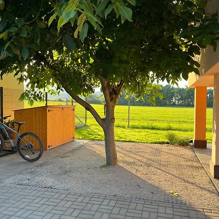 Vila Rekreacni Dum U Jezer, Milovice 6 Exteriér fotografie
